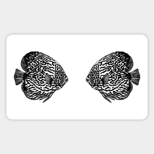 Discus Fish in Love - fish lovers animal design Magnet